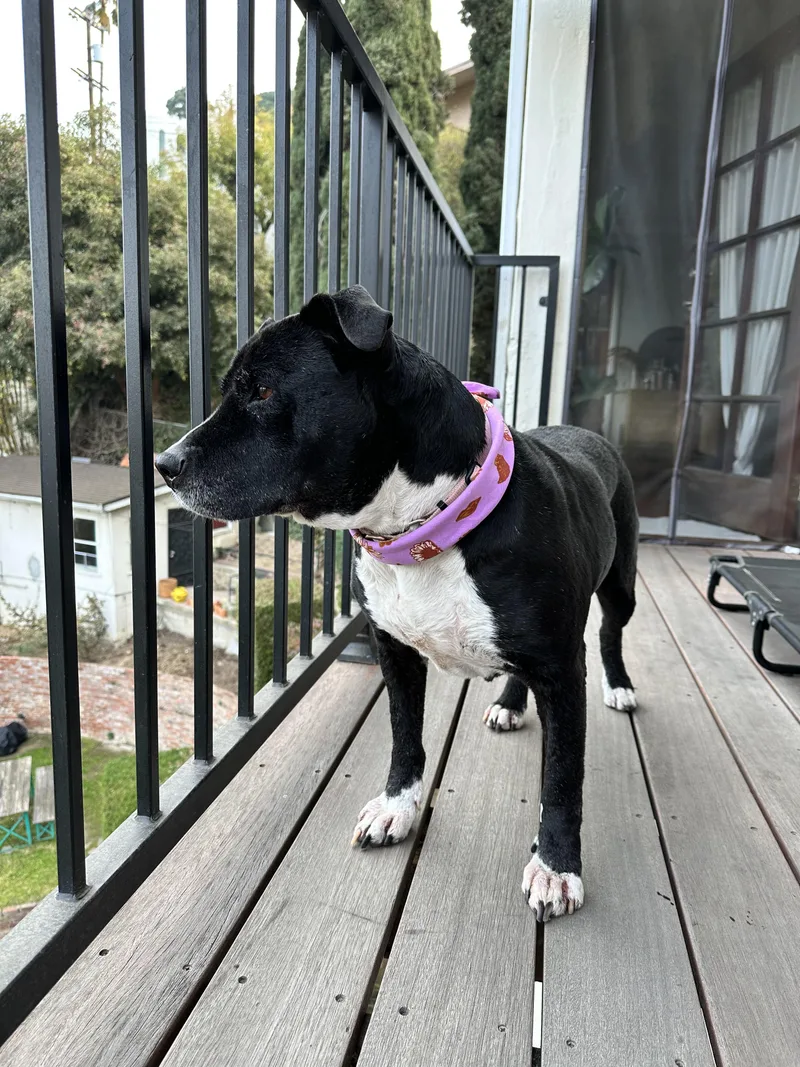 Miathe Sweetest  Happiest thumbnail 6