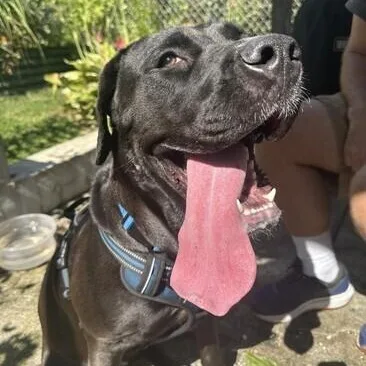 Charlotte thumbnail 2