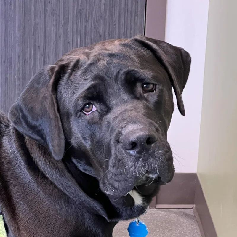 Charlotte thumbnail 4