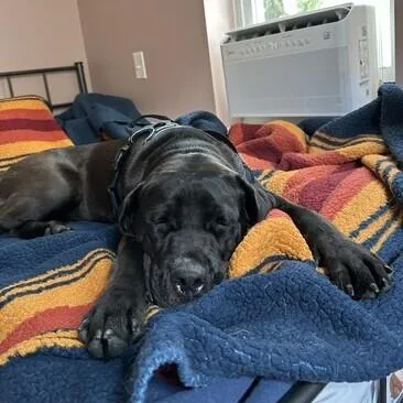 Charlotte thumbnail 5