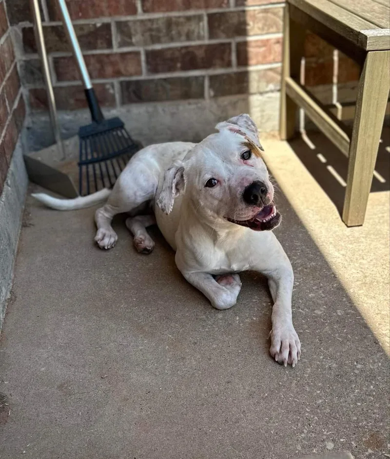 Shirley Rose thumbnail 2