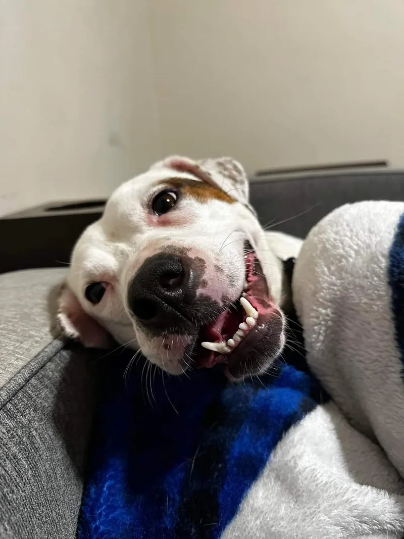 Shirley Rose thumbnail 4