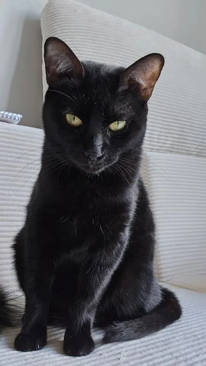 Bonnie