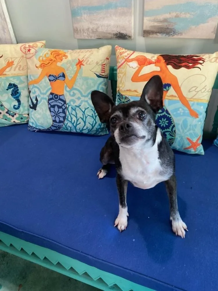 Oreo Blizzardga thumbnail 3