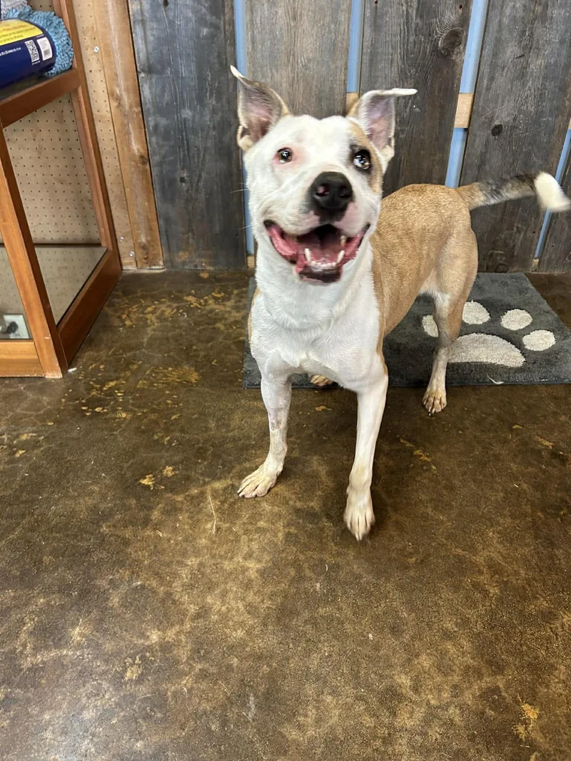 Helen   $ thumbnail 2