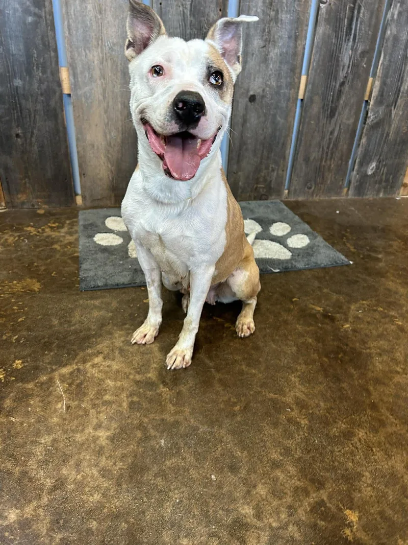 Helen   $ thumbnail 3