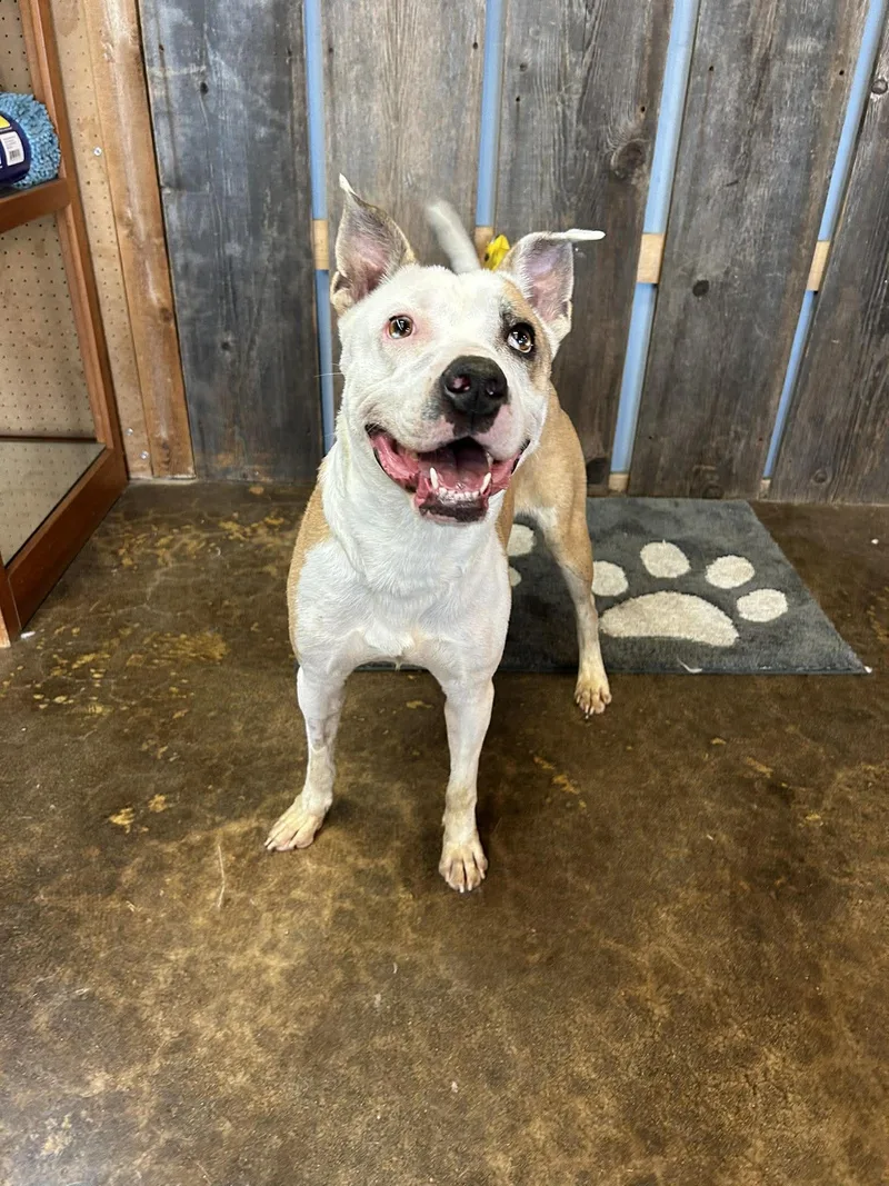 Helen   $ thumbnail 4