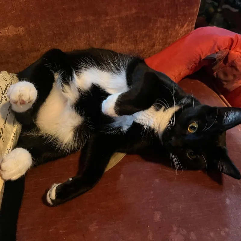 Sparkler thumbnail 2