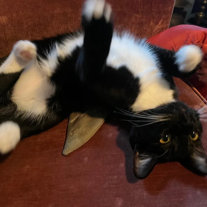 Sparkler thumbnail 3