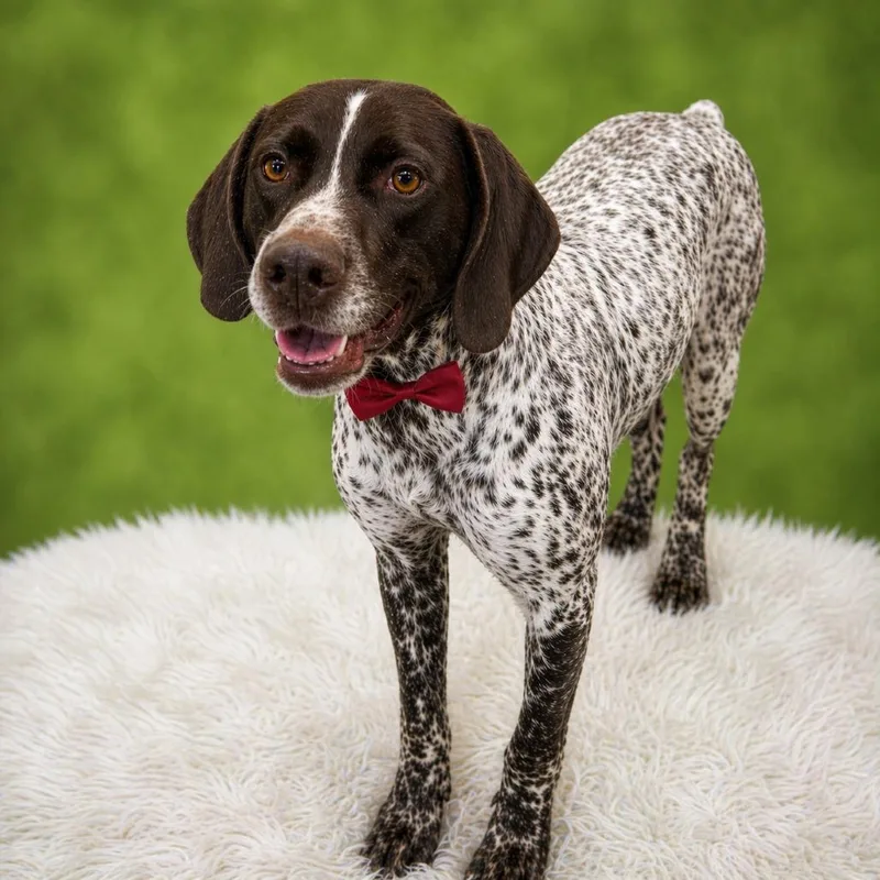 Sammy Sam thumbnail 2