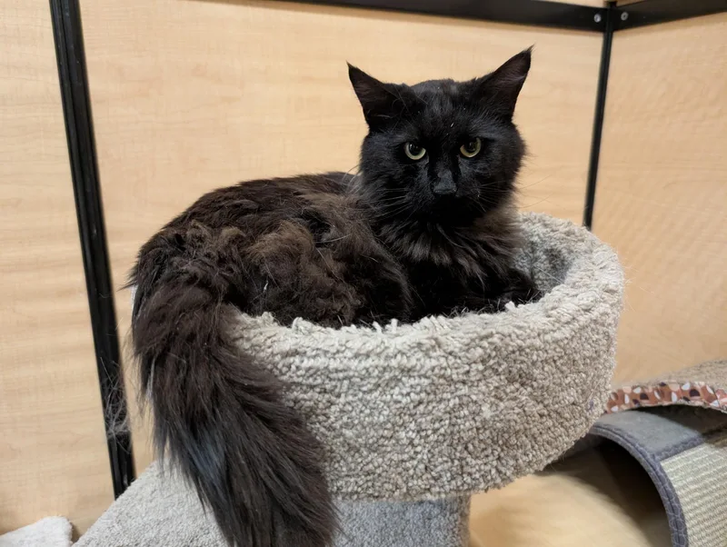 Tracker thumbnail 2