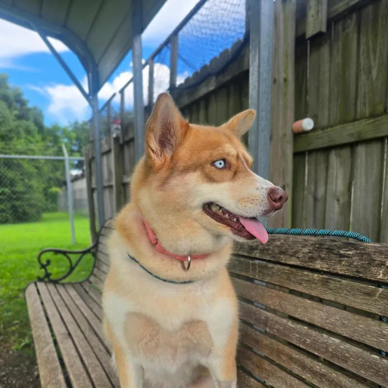 Freya