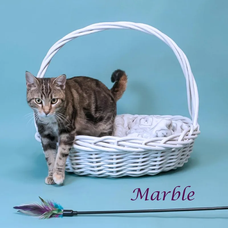 Marble C thumbnail 2