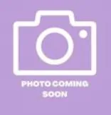 A baby small-sized female Domestic Short Hair cat named 61593535 for adoption in El Paso, TX
