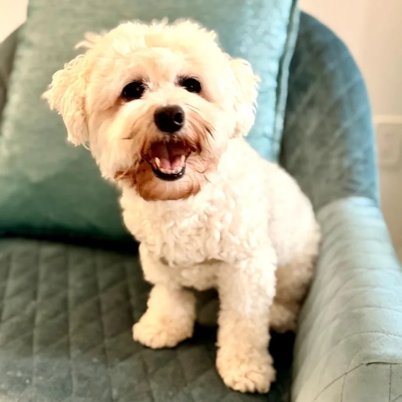 Gabby thumbnail 3