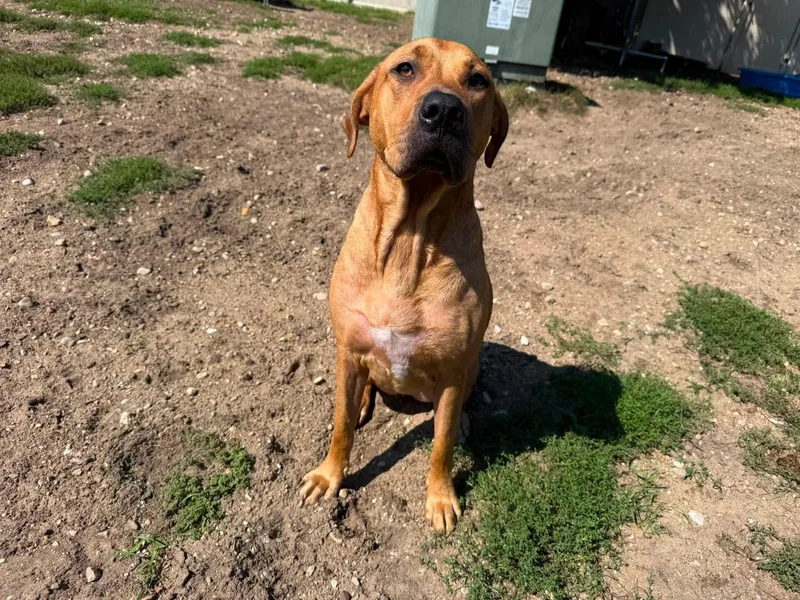 Ellie