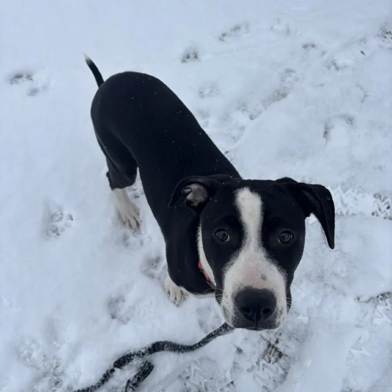 Cleveland thumbnail 2