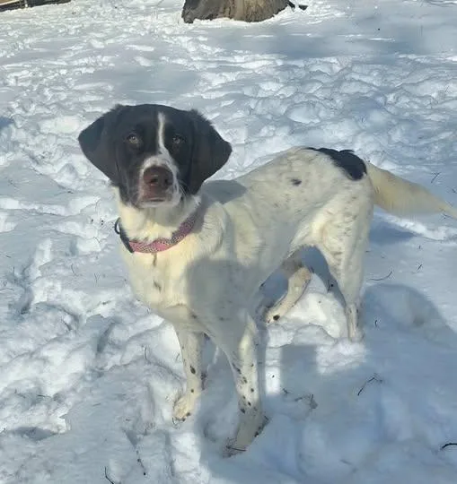 Sadie