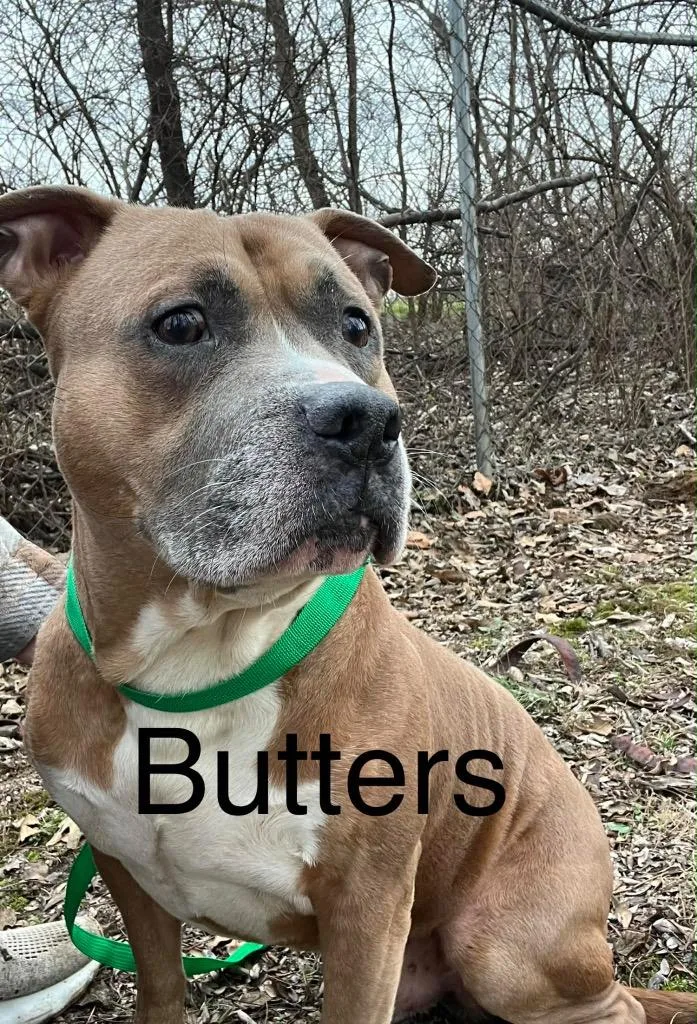 Butters