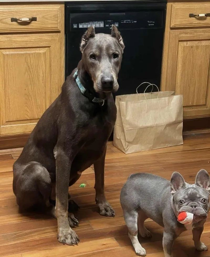 Grady 💜🤍 A thumbnail 3