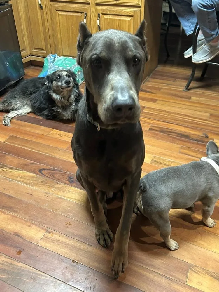 Grady 💜🤍 A thumbnail 4