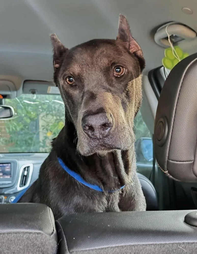 Grady 💜🤍 A thumbnail 5