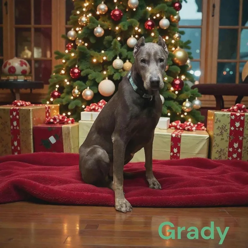 Grady 💜🤍 A thumbnail 6