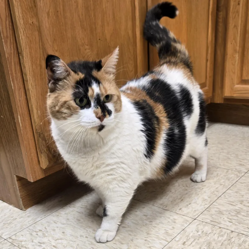 Fatricia thumbnail 6