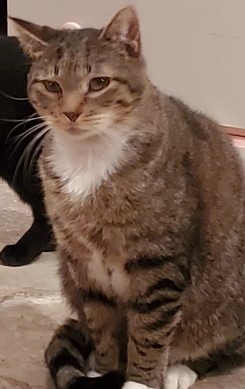 Brad Pitt thumbnail 3