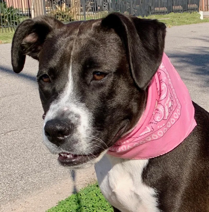 Maisy  Sweet Girl thumbnail 5