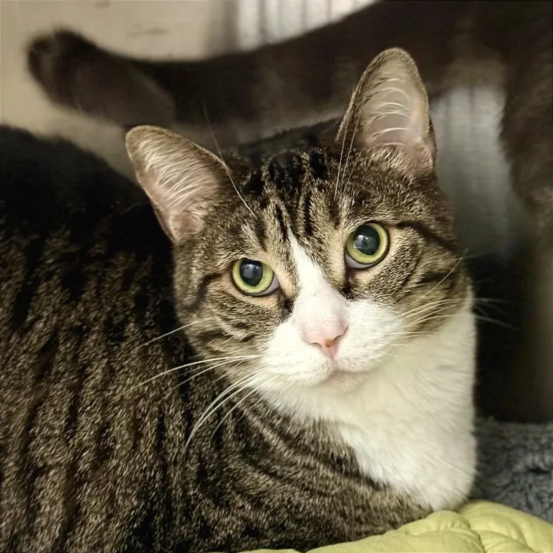 Kissy Missy thumbnail 2