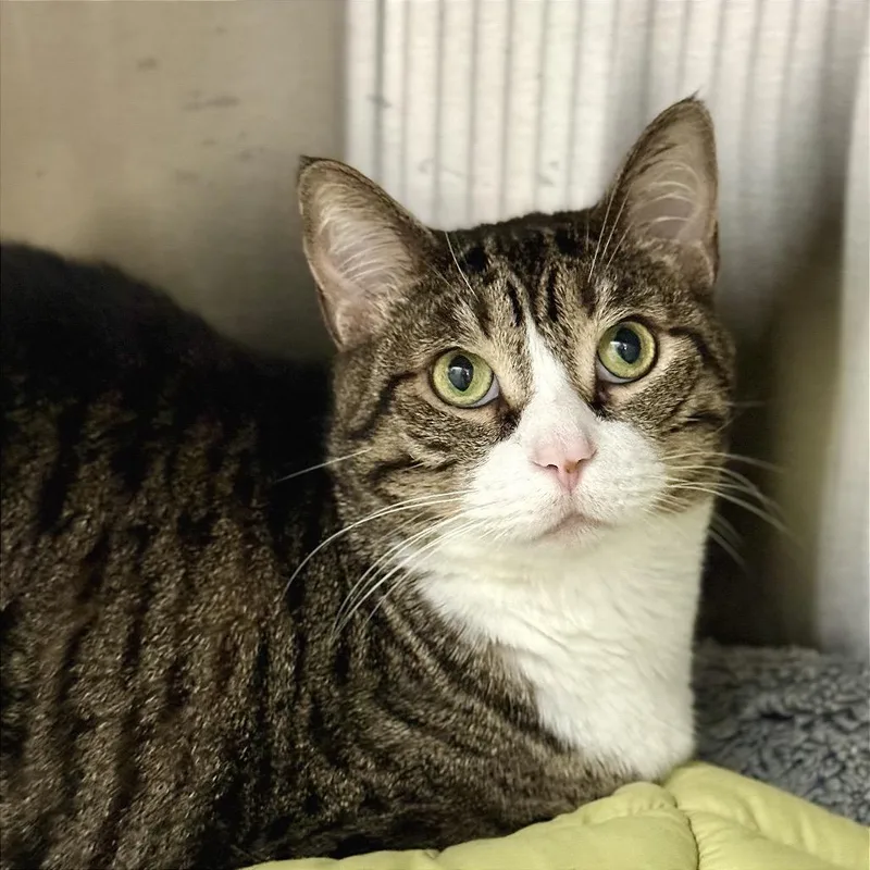 Kissy Missy thumbnail 3