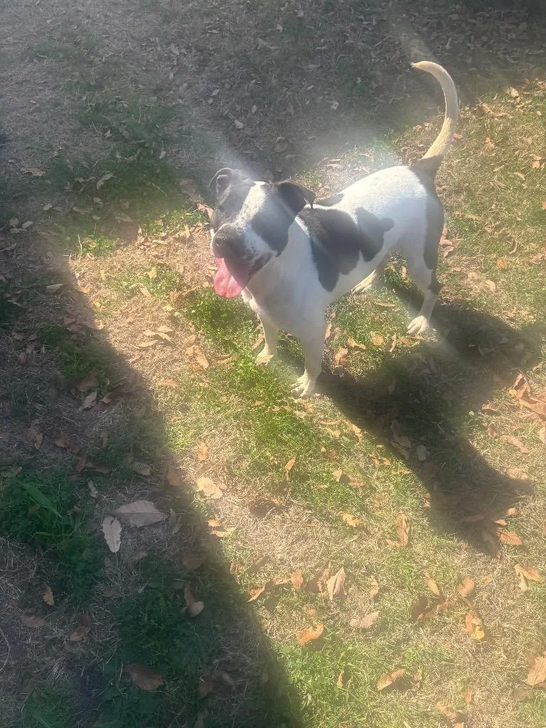 Maggie thumbnail 3