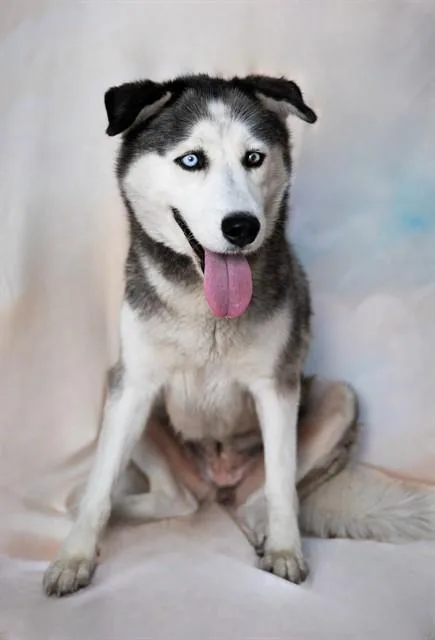 Heidi