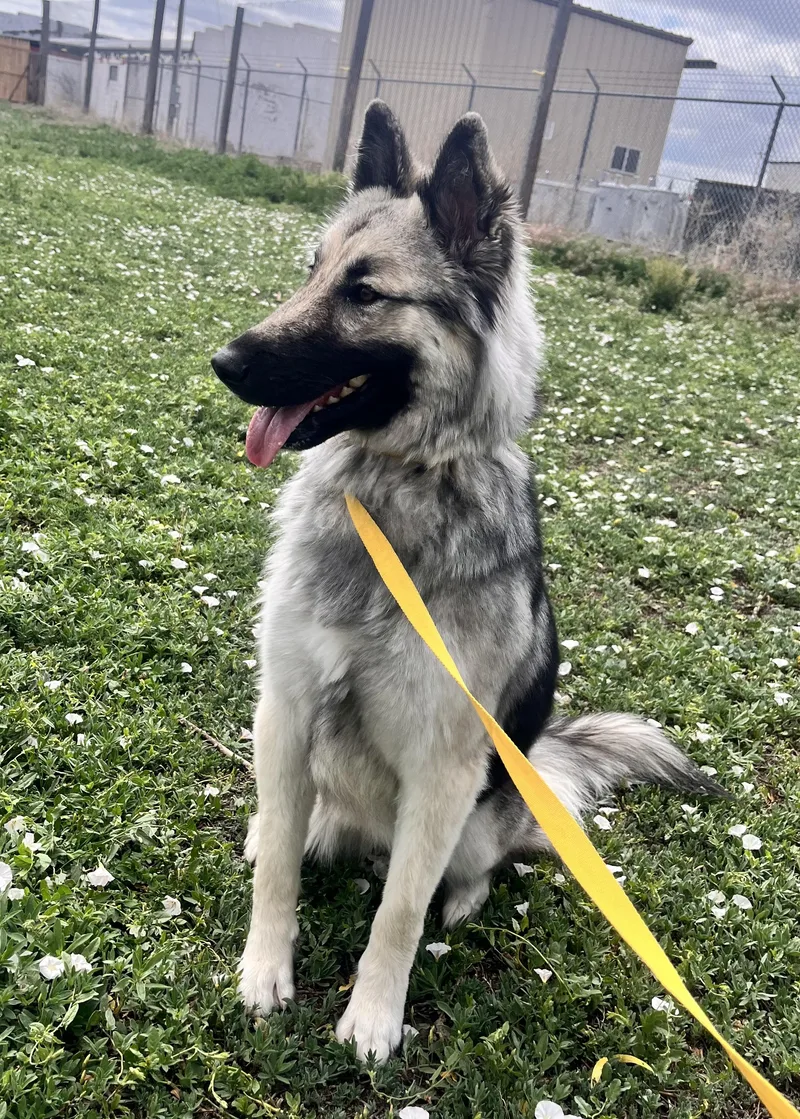 Luna