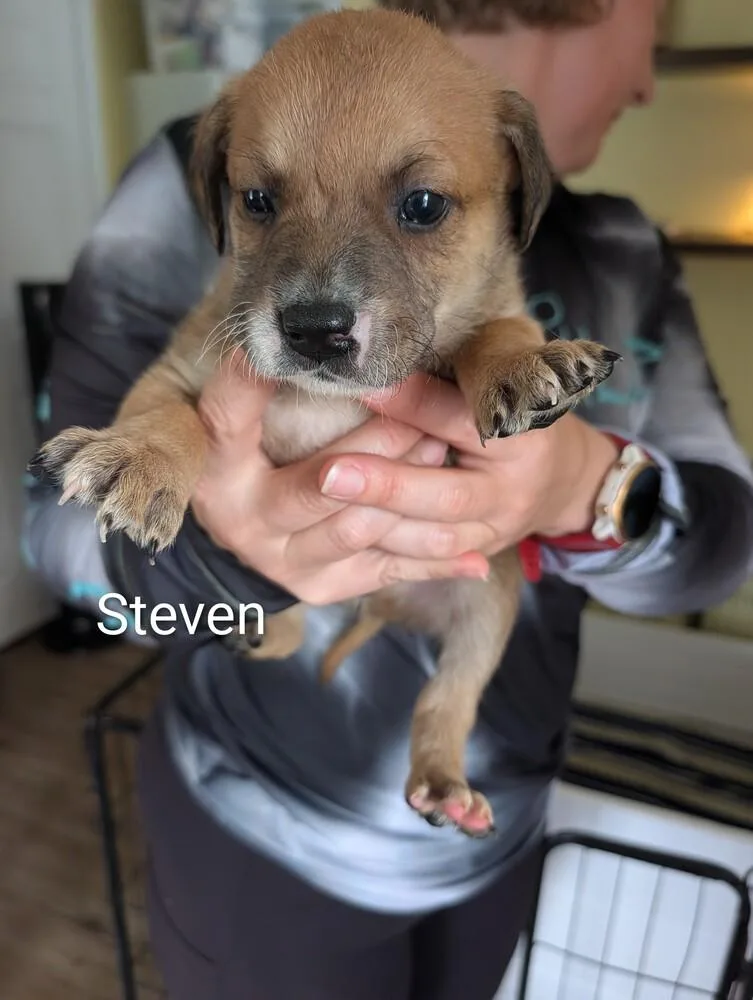 Steven  Selina thumbnail 2
