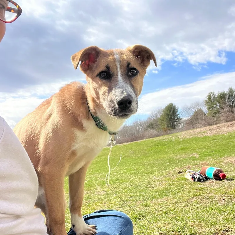 Kalahari thumbnail 2