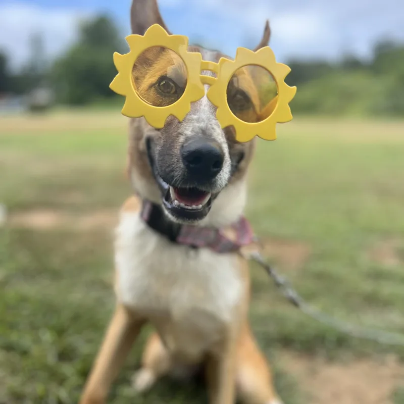 Kalahari thumbnail 3