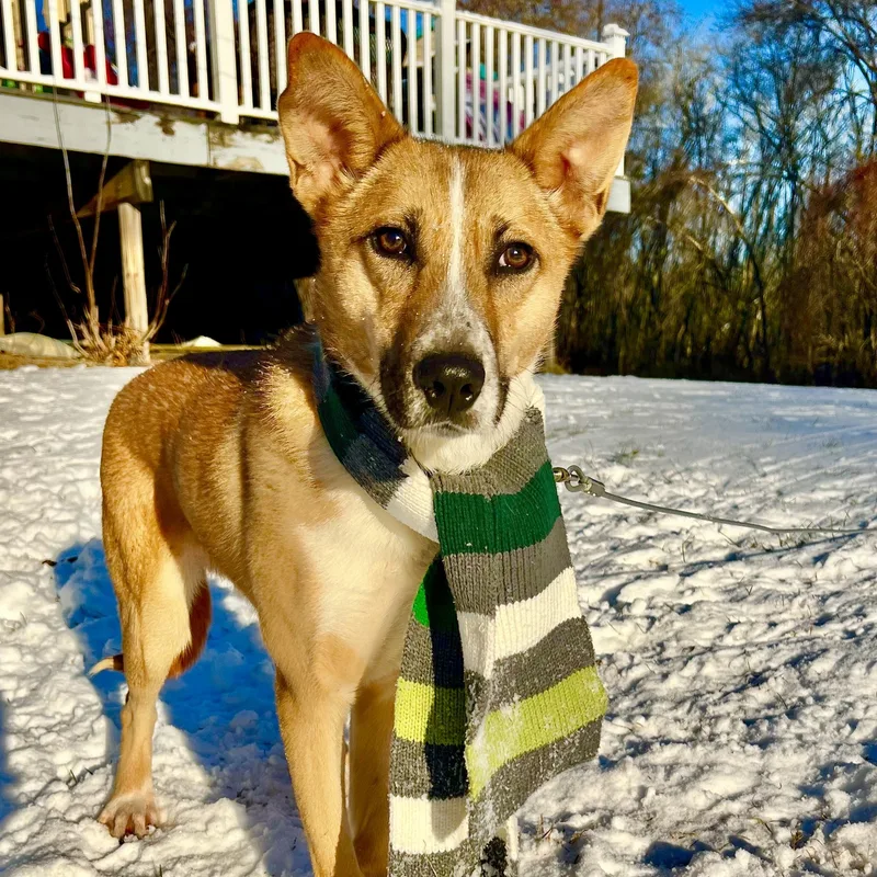 Kalahari thumbnail 5