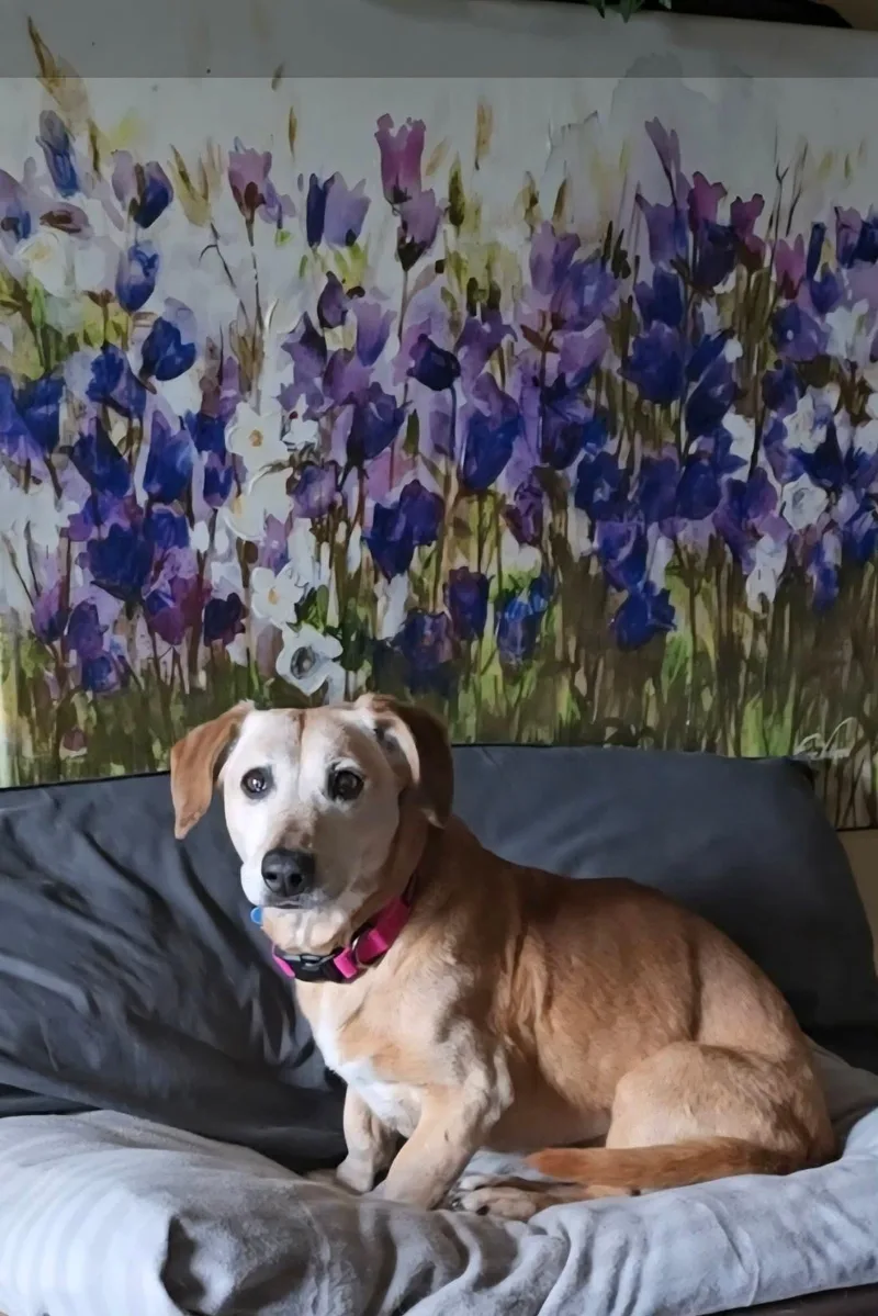 Honey Bun thumbnail 3