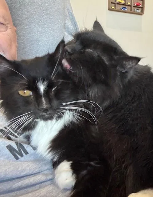 Gracie thumbnail 2