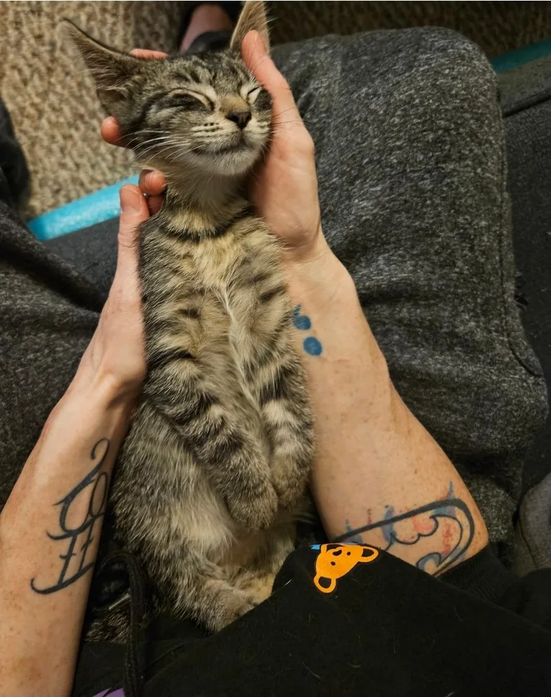 Sebastian thumbnail 3