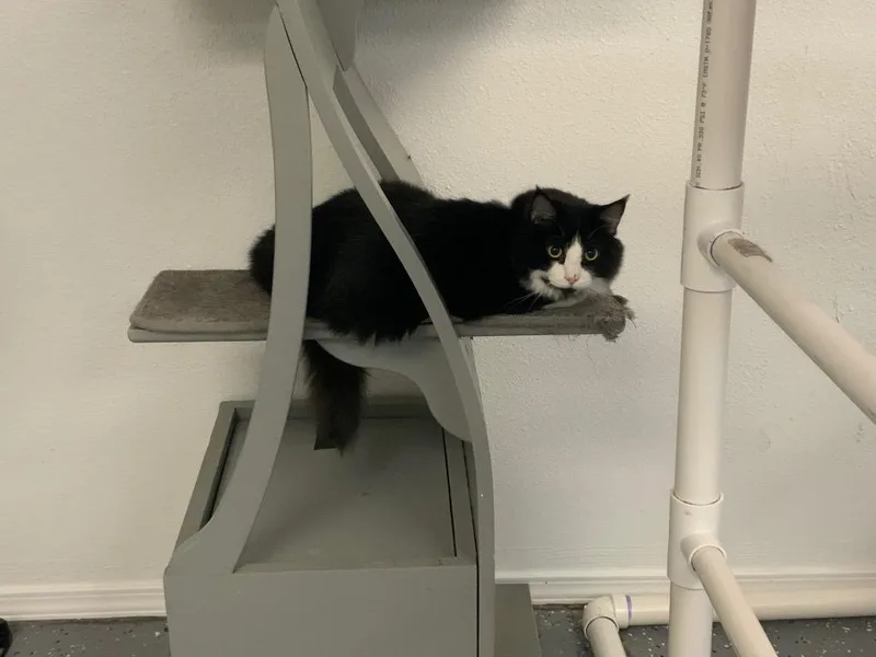 Francisco thumbnail 2