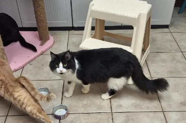 Francisco thumbnail 3