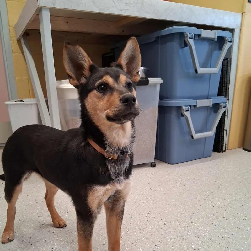 Margarita thumbnail 2