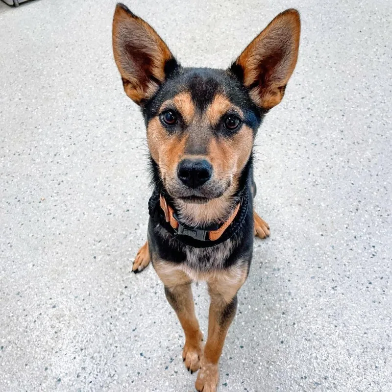 Margarita thumbnail 3