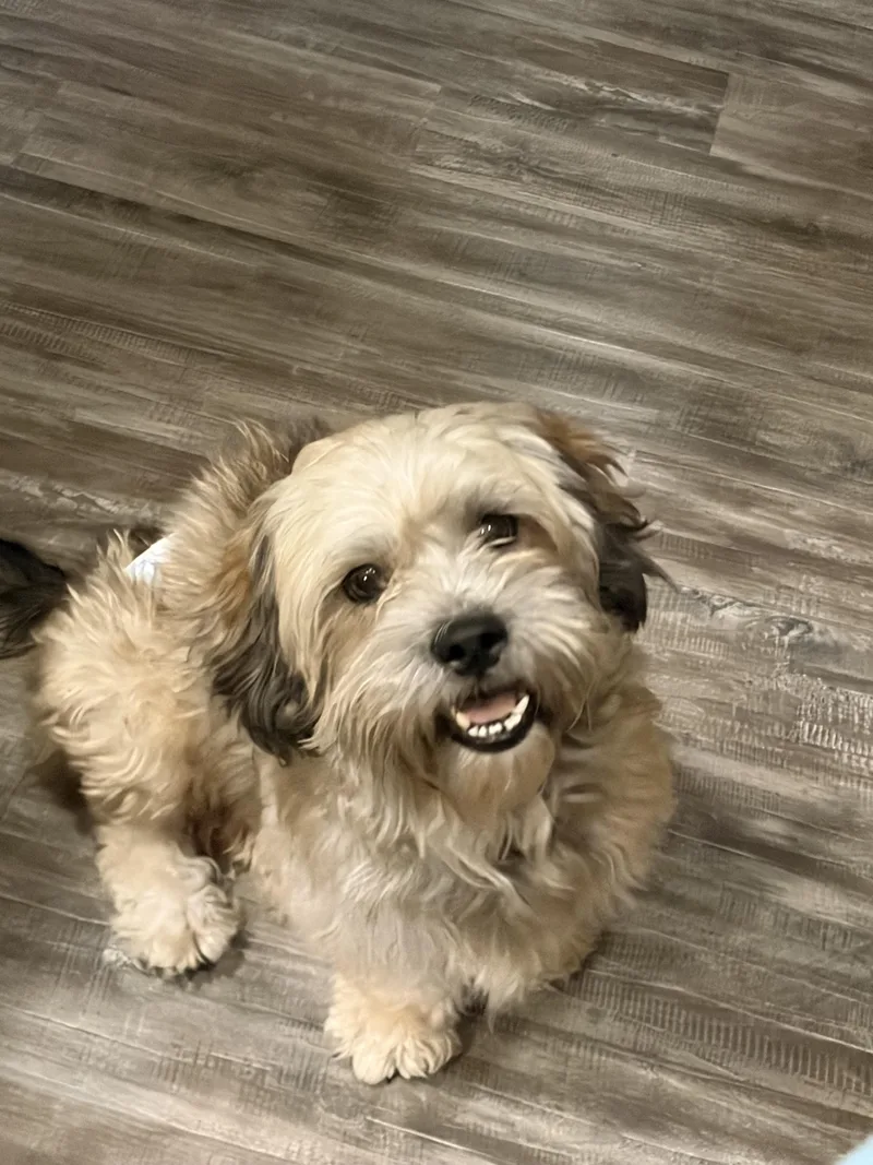 Sam