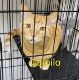Camilo