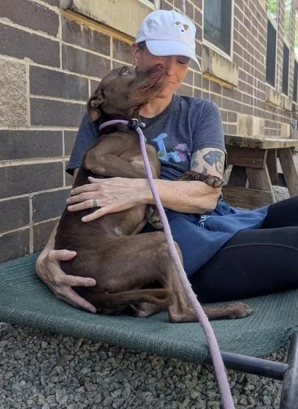 An adult medium-sized female Mixed Breed dog named Serenity for adoption in Chamblee, GA