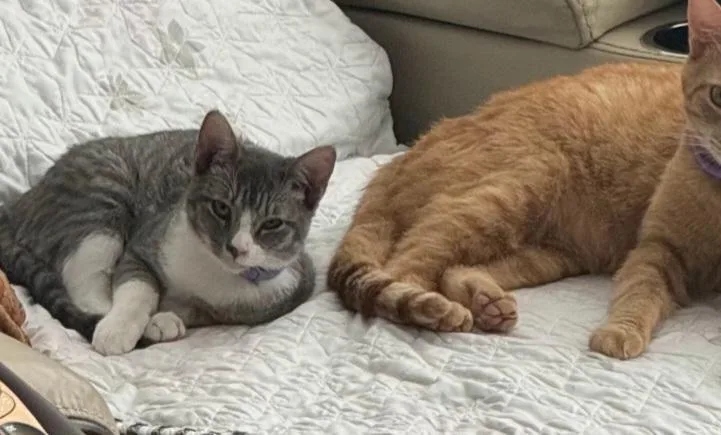 Mocha thumbnail 2
